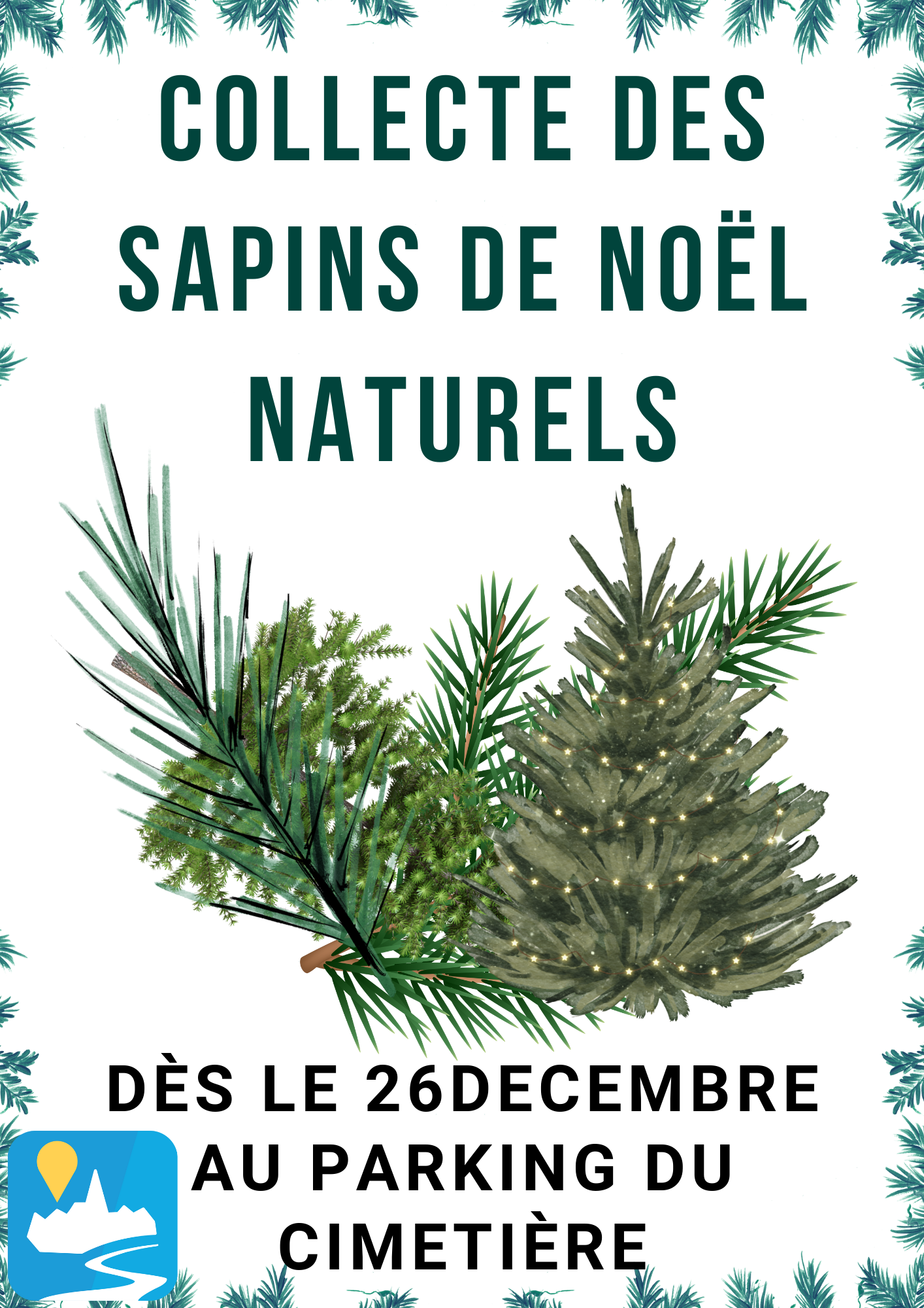 Collecte des sapins  2024