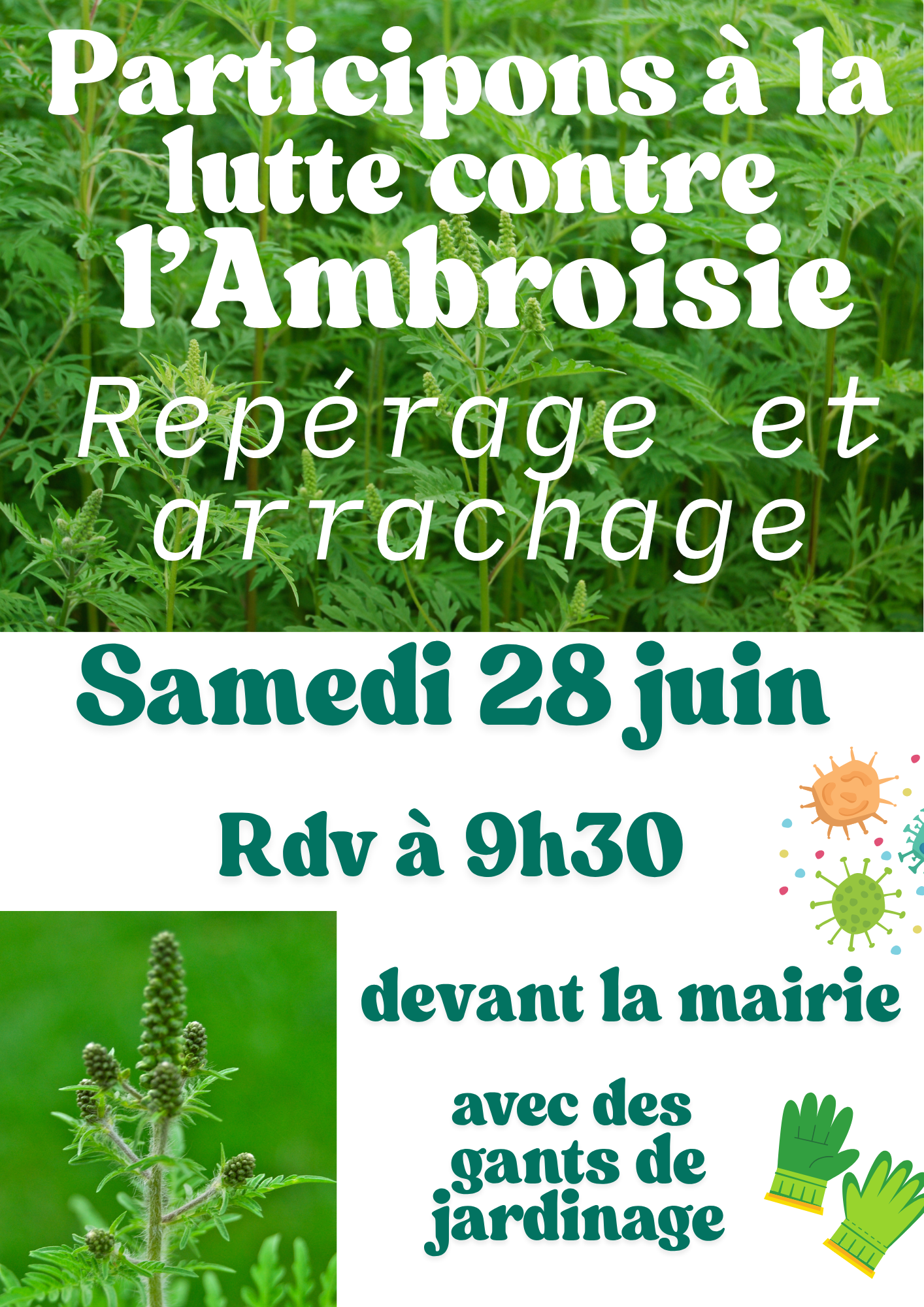 Samedi 28 Juin – Participons à la lutte contre l’Ambroisie